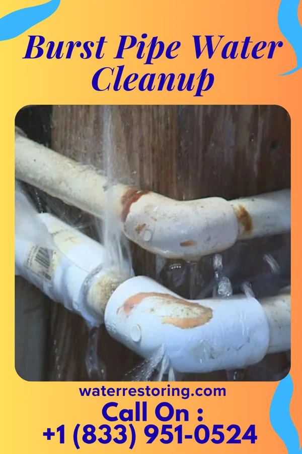 Burst Pipe Water Cleanup in Canal Winchester, OH