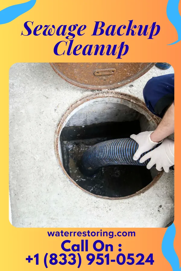 Sewage Backup Cleanup in Canal Winchester, OH
